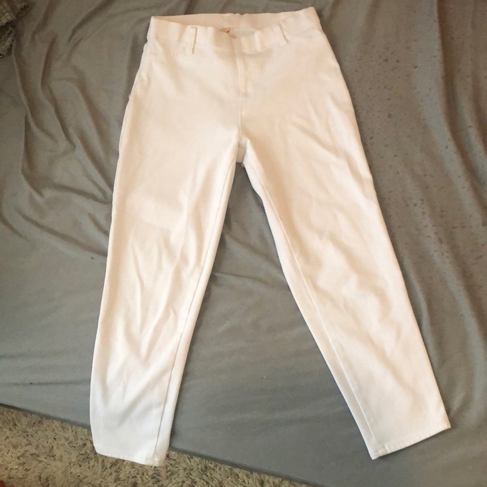 Pant